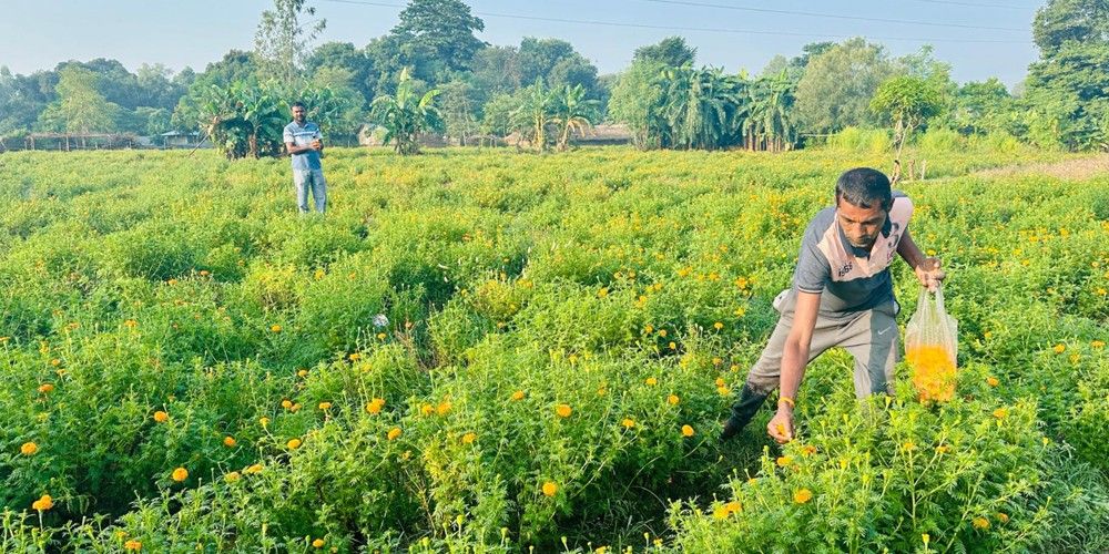 आर्थिक उपार्जन गर्न फूल व्यवसाय